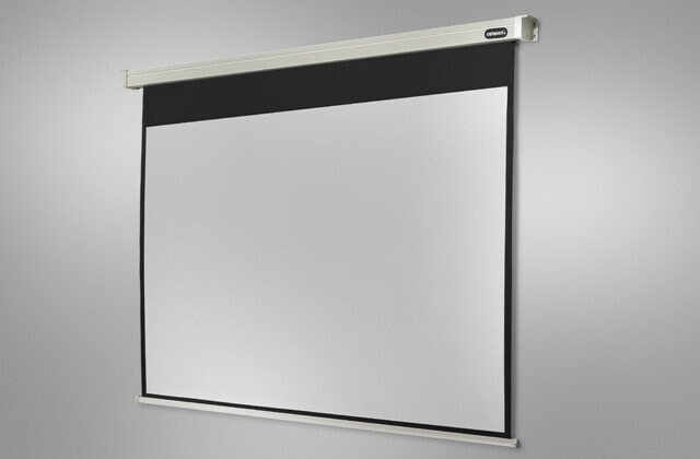 Celexon Professional проекционный экран 1:1 1090091