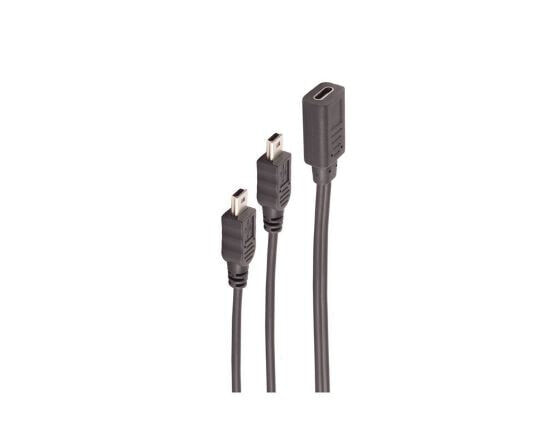 BS13-20022 - 0.3 m - USB C - Mini-USB B - USB 2.0 - 480 Mbit/s - Black