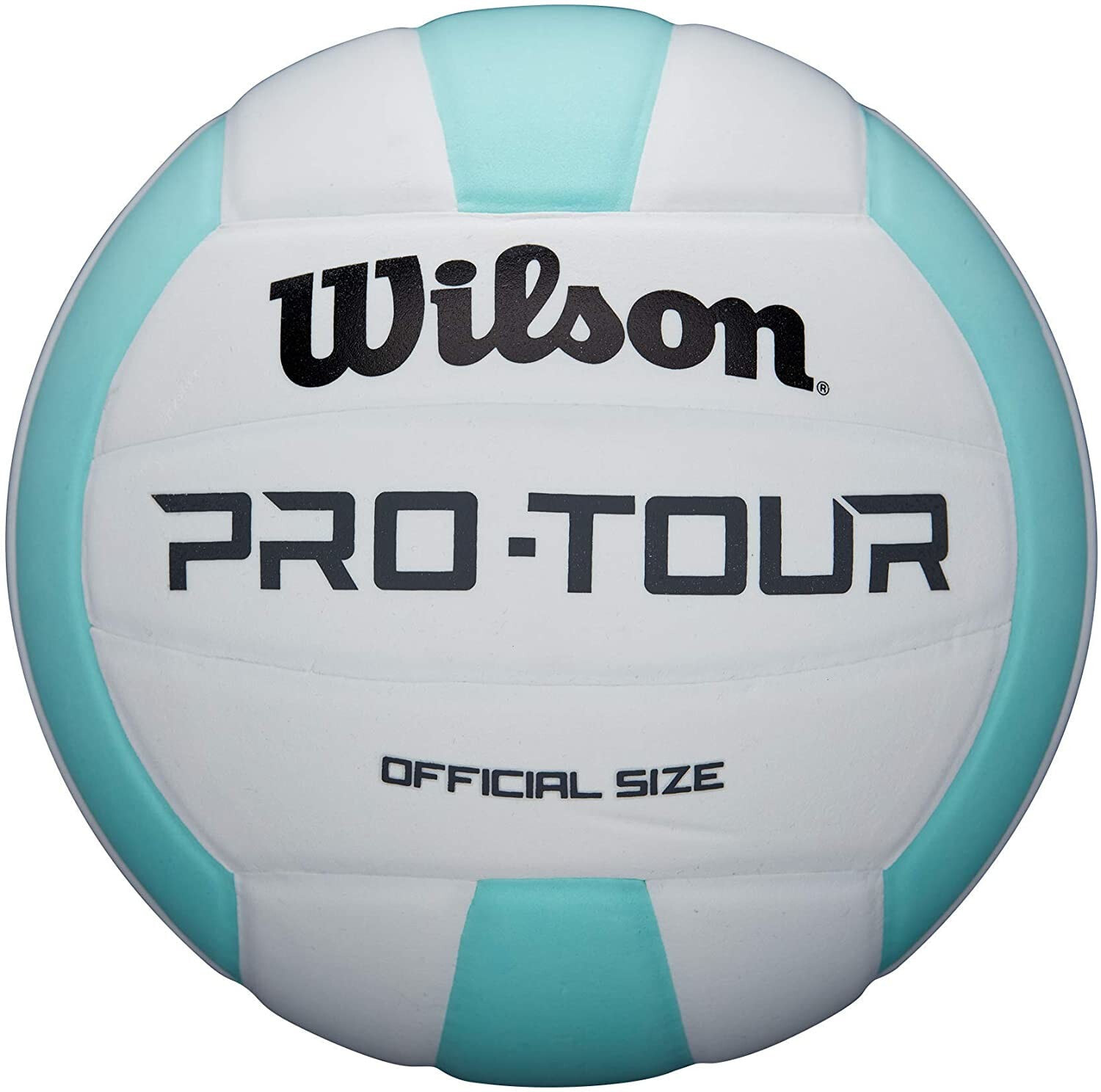 Волейбол в помещении Wilson Pro Tour