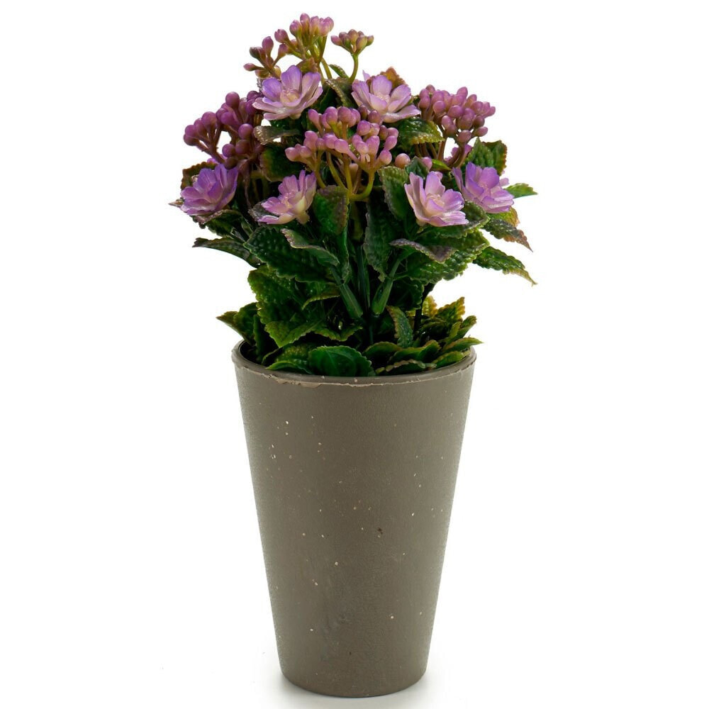 IBERGARDEN Artificial Plant Flores+Musta 22 Cm