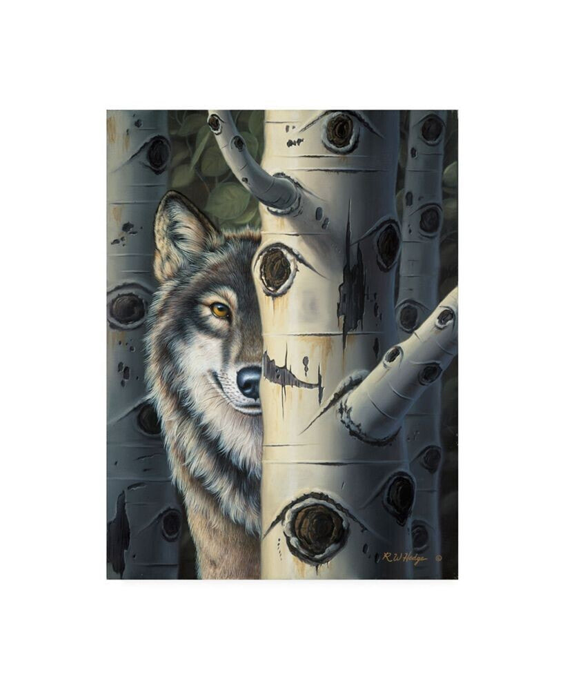 Trademark Global r W Hedge Disguise Canvas Art - 19.5