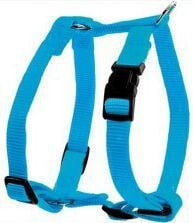 Zolux Adjustable nylon suspenders 20 mm - turquoise