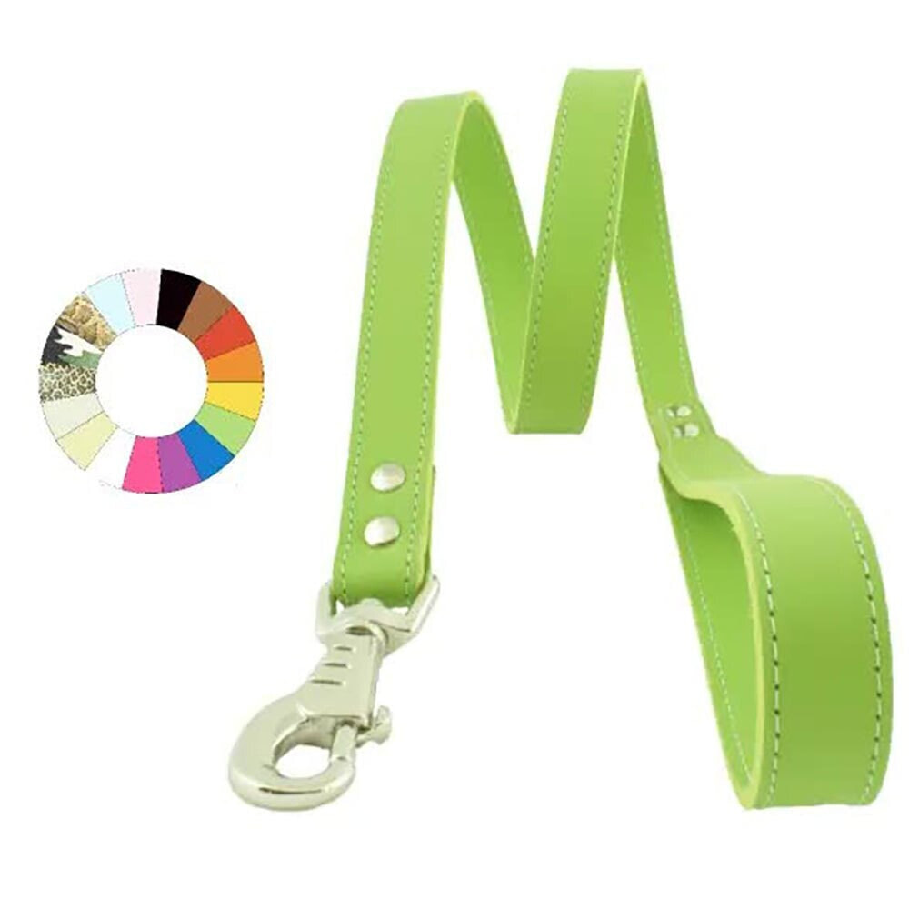 YOUPET Beach Leash