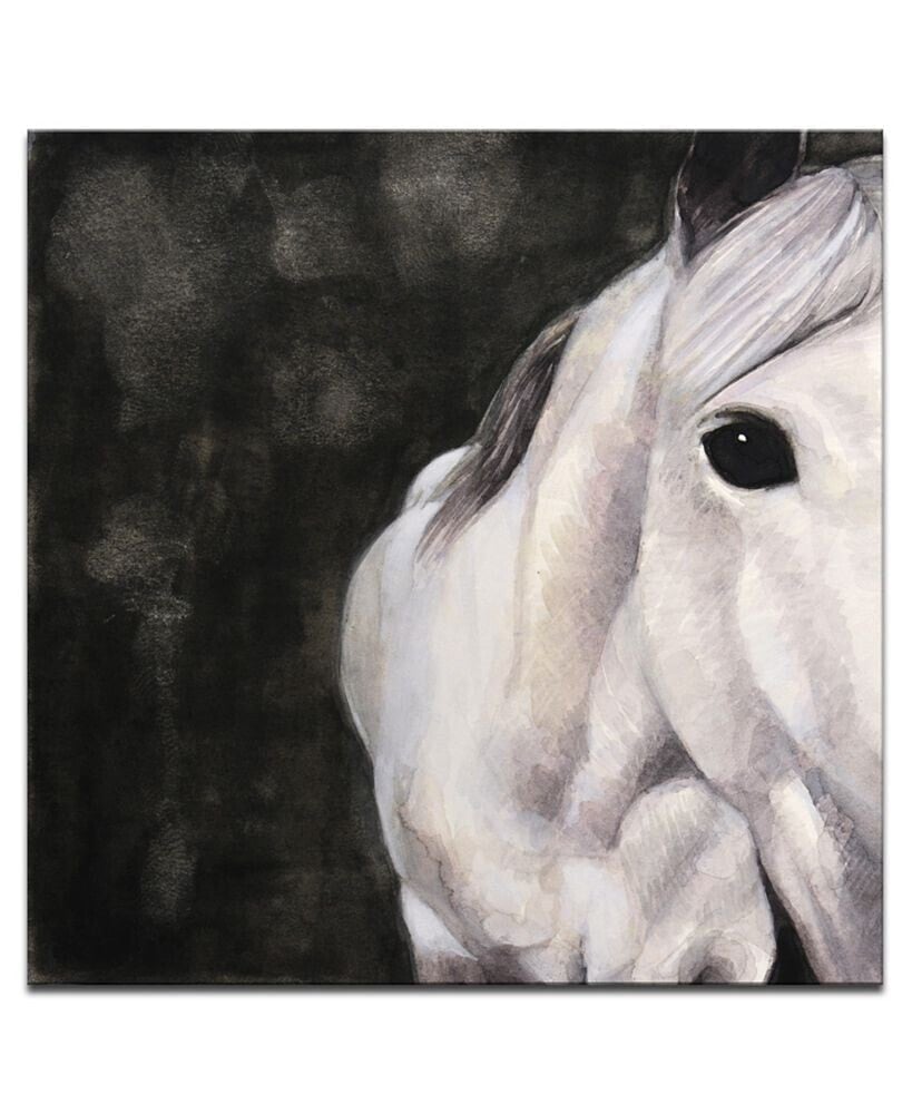 Ready2HangArt 'Snow Horse' Canvas Wall Art, 20x20