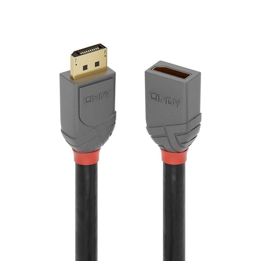 Lindy 36497 DisplayPort кабель 2 m Черный