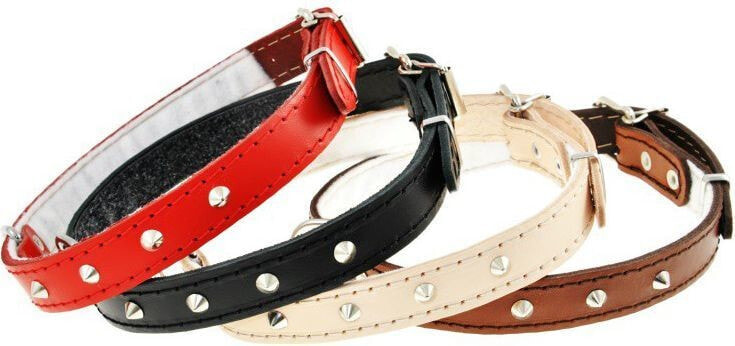 Dino Leather collar with studs Dino 16mm / 40cm black