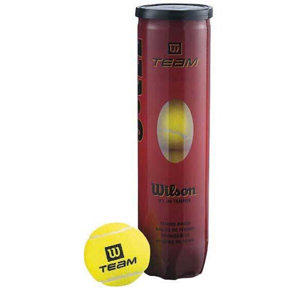 WILSON Team Practice Tennis Balls
