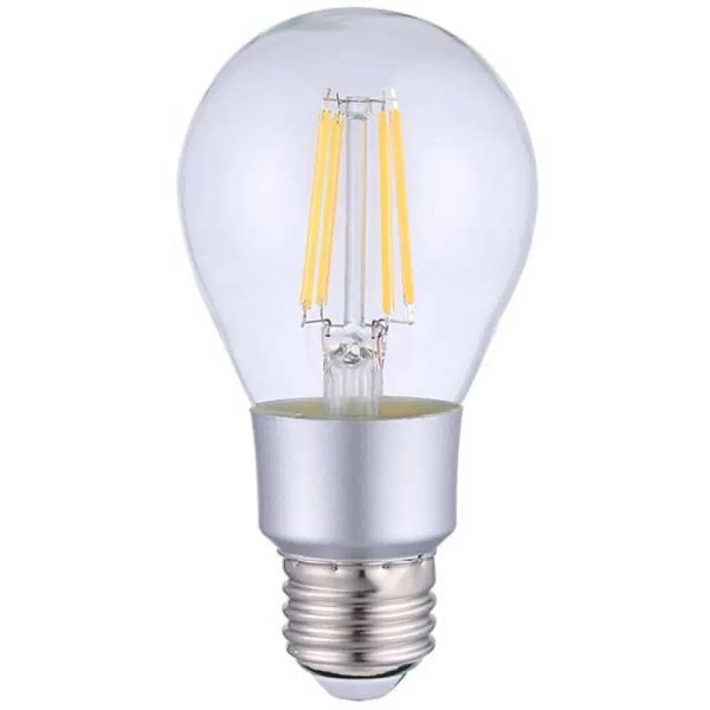 SHELLY Vintage A60 Globe Filament LED Bulb