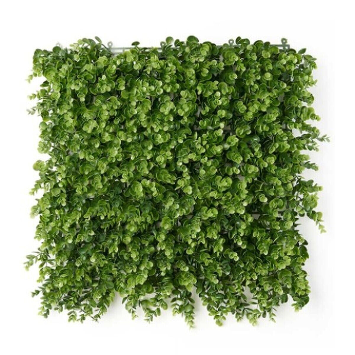 Vertical Garden Green Plastic Sheets 50 x 50 cm