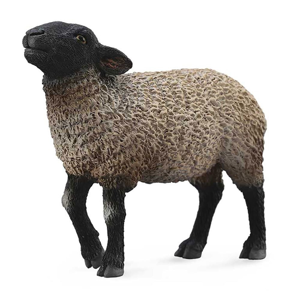 COLLECTA Sheep Suffolk English Type Figure