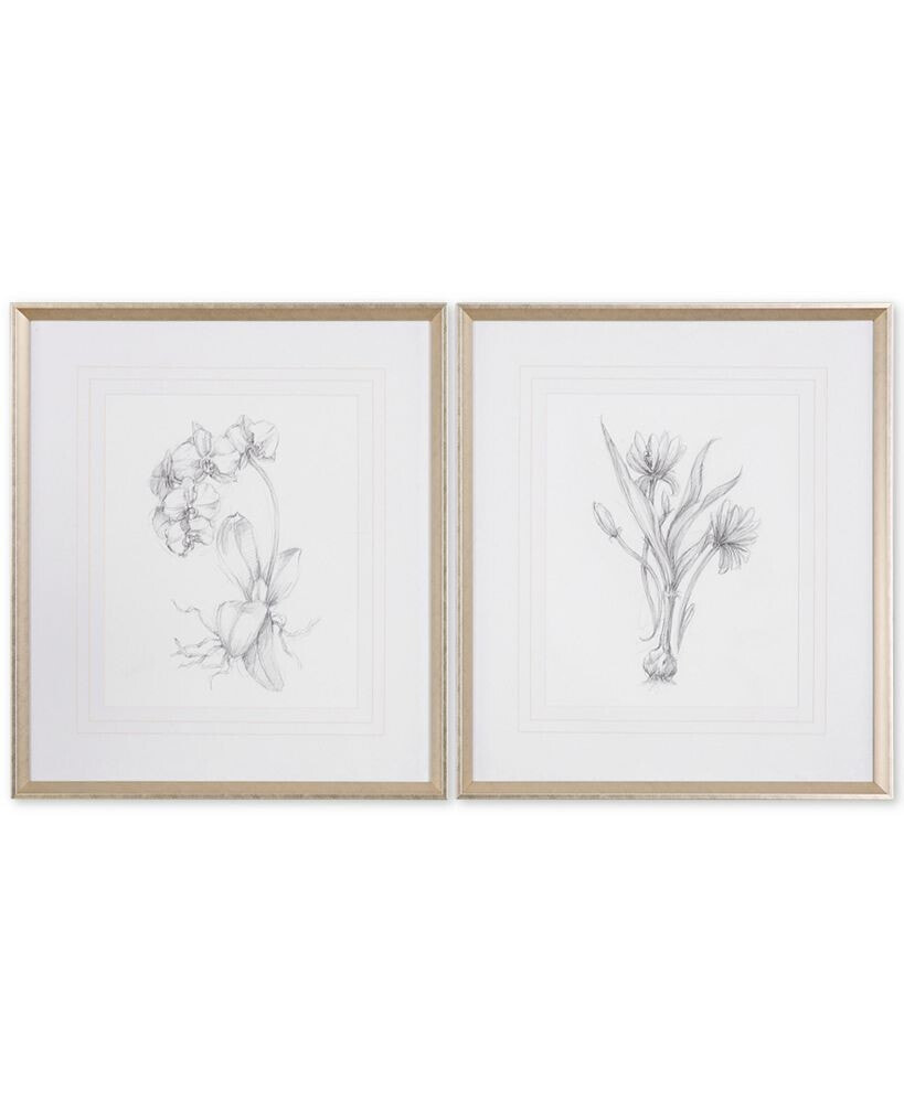 Botanical Sketches 2-Pc. Framed Print Wall Art Set
