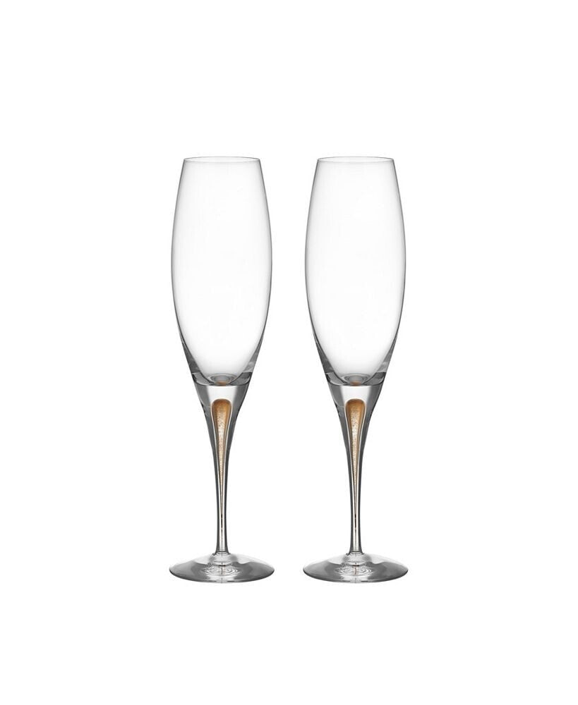 Orrefors intermezzo Gold Champagne Glass, 2-pack