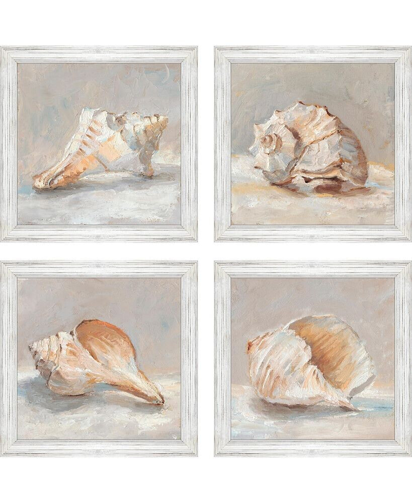 Paragon Picture Gallery shell Study Framed Art, Set of 4
