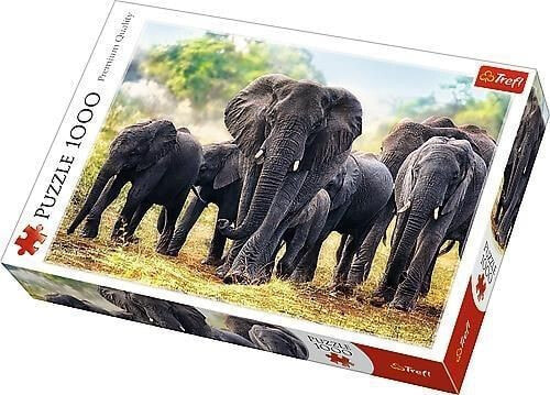 Trefl Puzzle 1000 Afrykańskie słonie (226180)