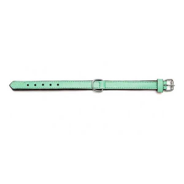 GLORIA Padded Dog Collar