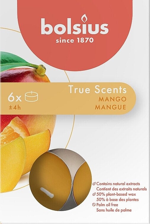 Teelicht-Set Mango, 4H - Bolsius Mango Candle