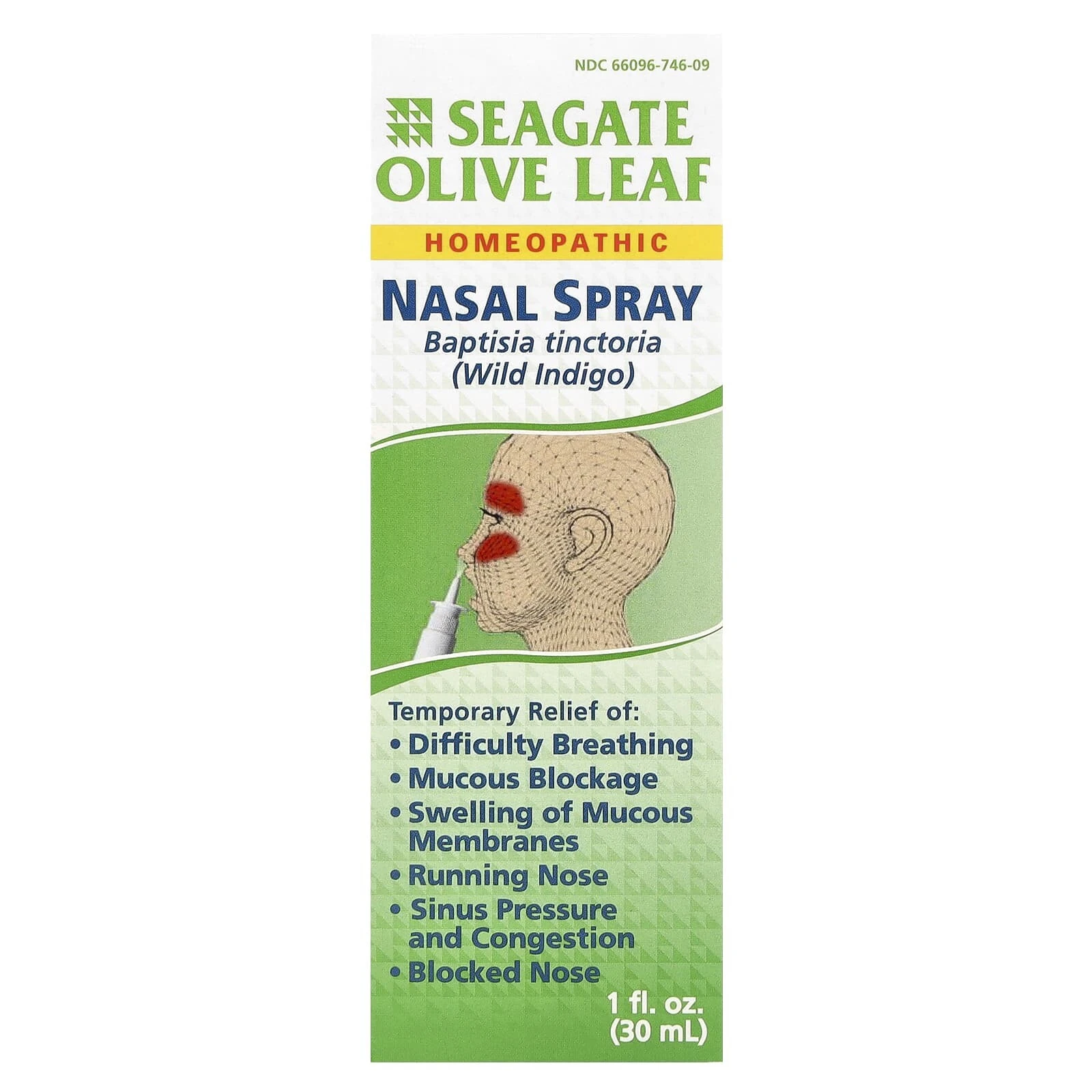 Olive Leaf Nasal Spray, 1 fl oz (30 ml)