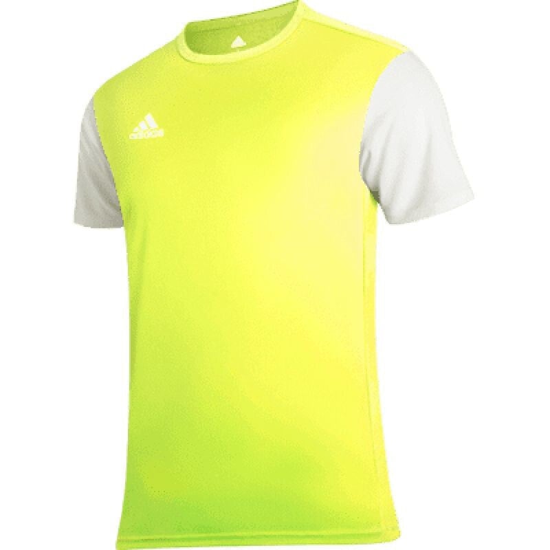 Мужская спортивная футболка зеленая с логотипом The adidas Estro 19 JSY Y Jr DP3229 football shirt