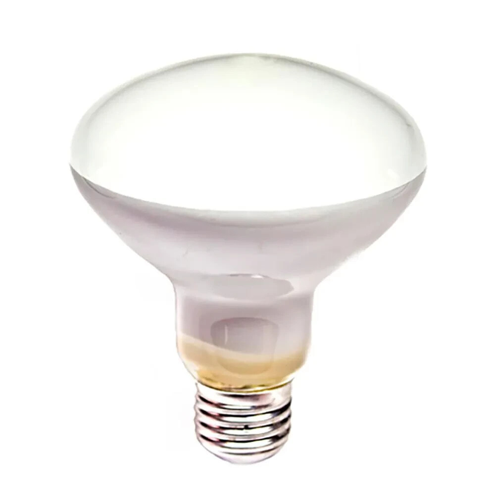 CLAR R90 E-27 60W Incandescent Reflector Bulb