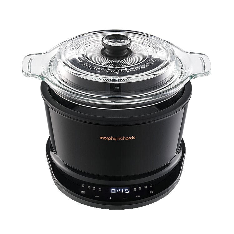 Morphy Richards Electric Stew Pots