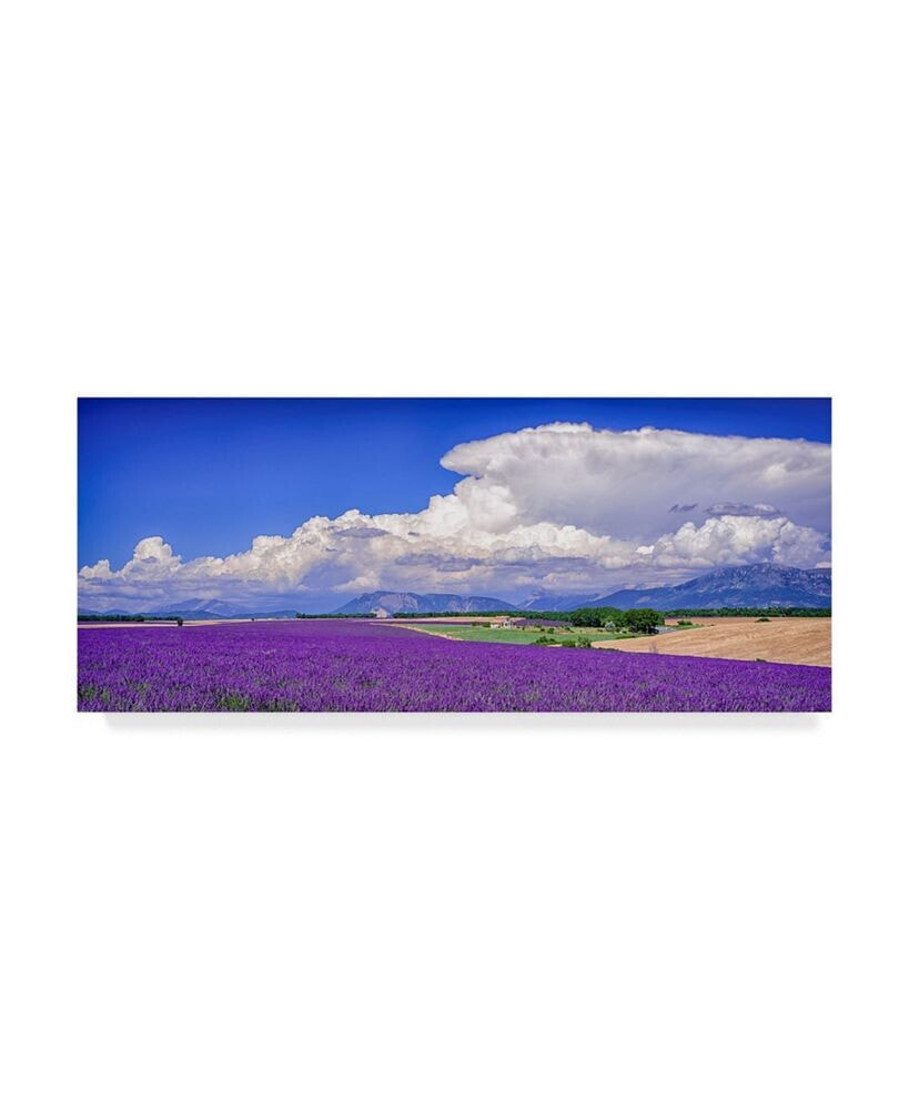 Trademark Global michael Blanchette Photography 'Cloud Bank Over Lavender Panorama' Canvas Art - 32