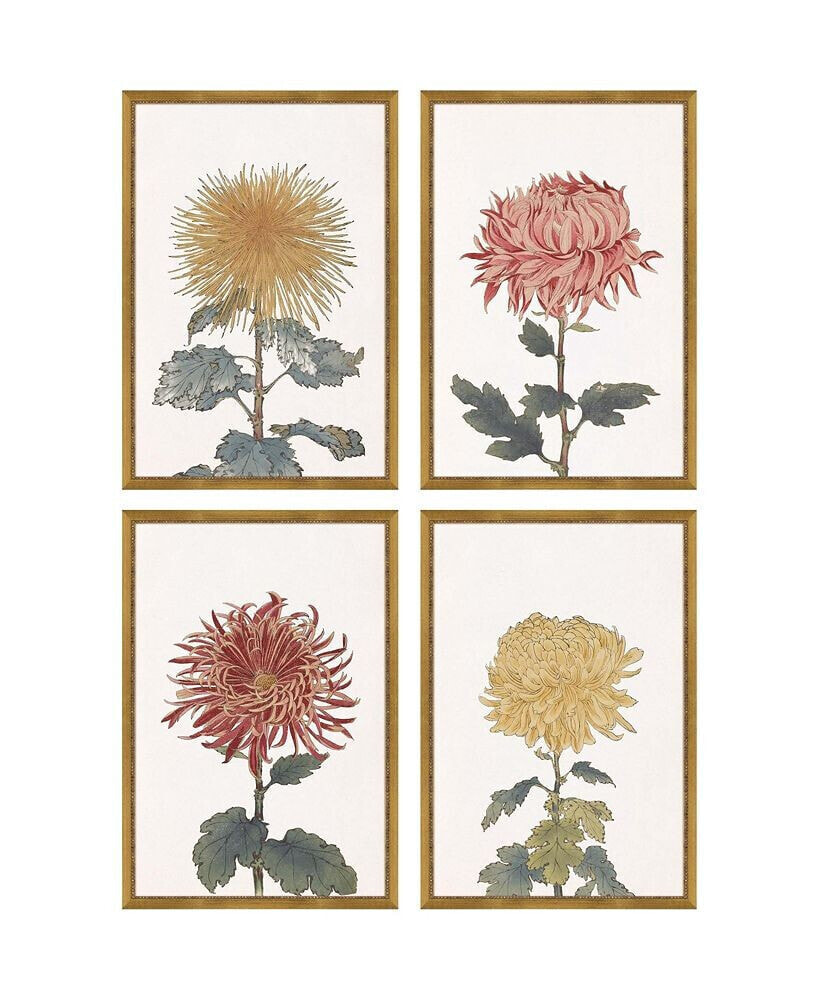 Paragon Picture Gallery chrysanthemum Framed Art, Set of 4