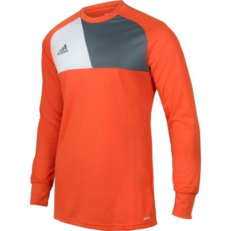 Adidas Watch 17 Junior AZ5398 goalkeeper jersey