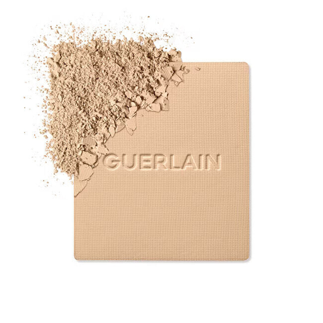Compact matting make-up Parure Gold Skin Control (Hight Perf