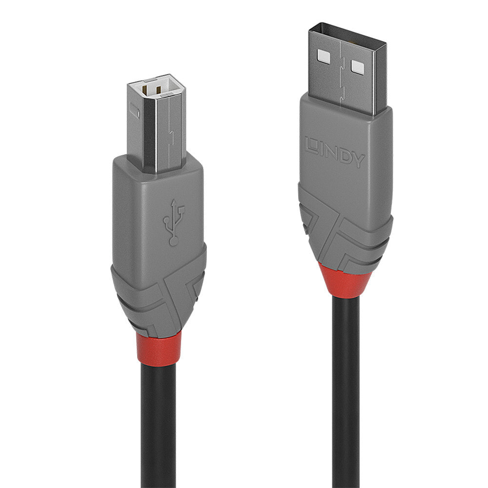 Lindy 36671 USB кабель 0,5 m 2.0 USB A USB B Черный, Серый