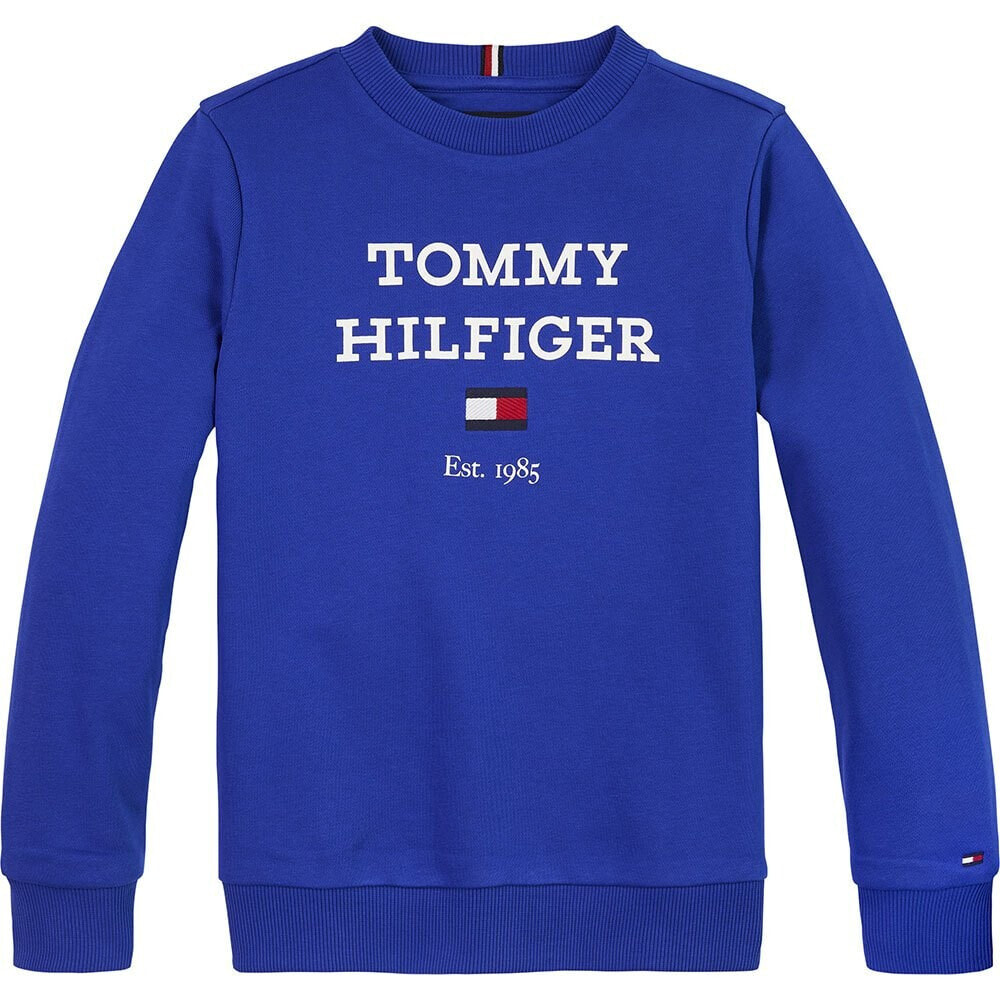 TOMMY HILFIGER KB0KB08713 Sweatshirt