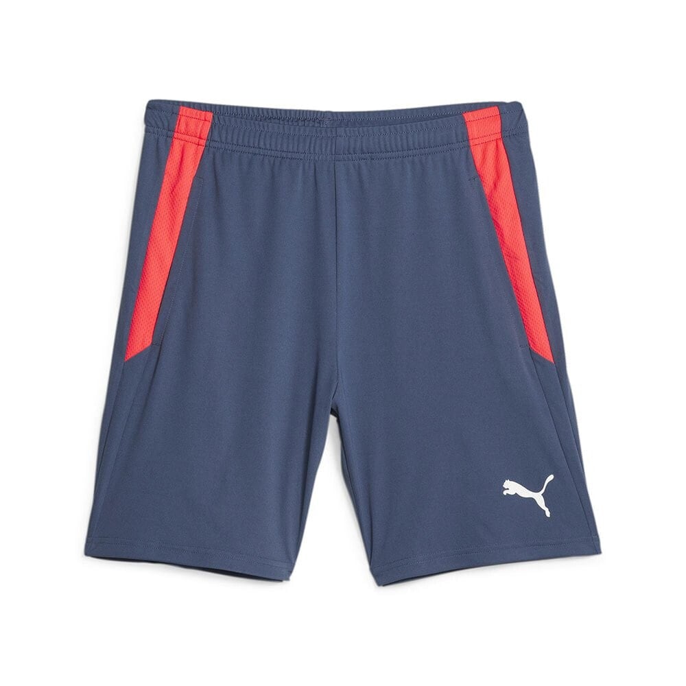 PUMA Team Liga Sh shorts