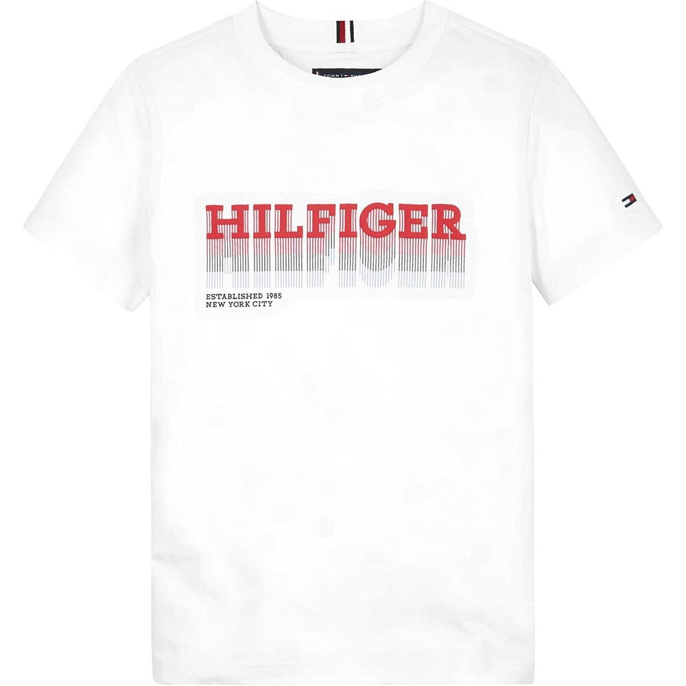 TOMMY HILFIGER Fade short sleeve T-shirt