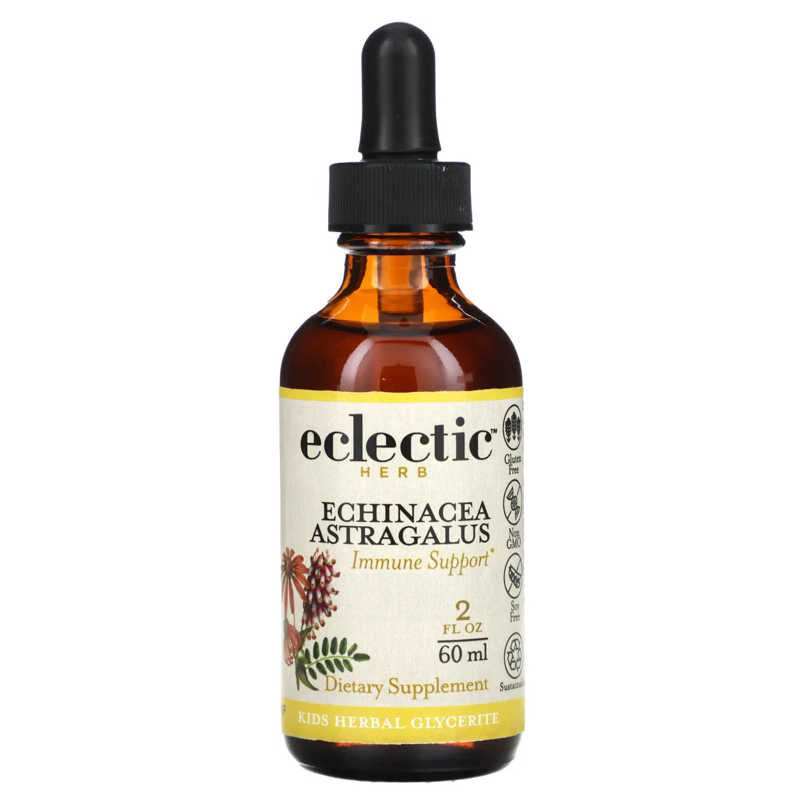 Kids Herbal Glycerite, Echinacea Astragalus, 2 fl oz (60 ml)