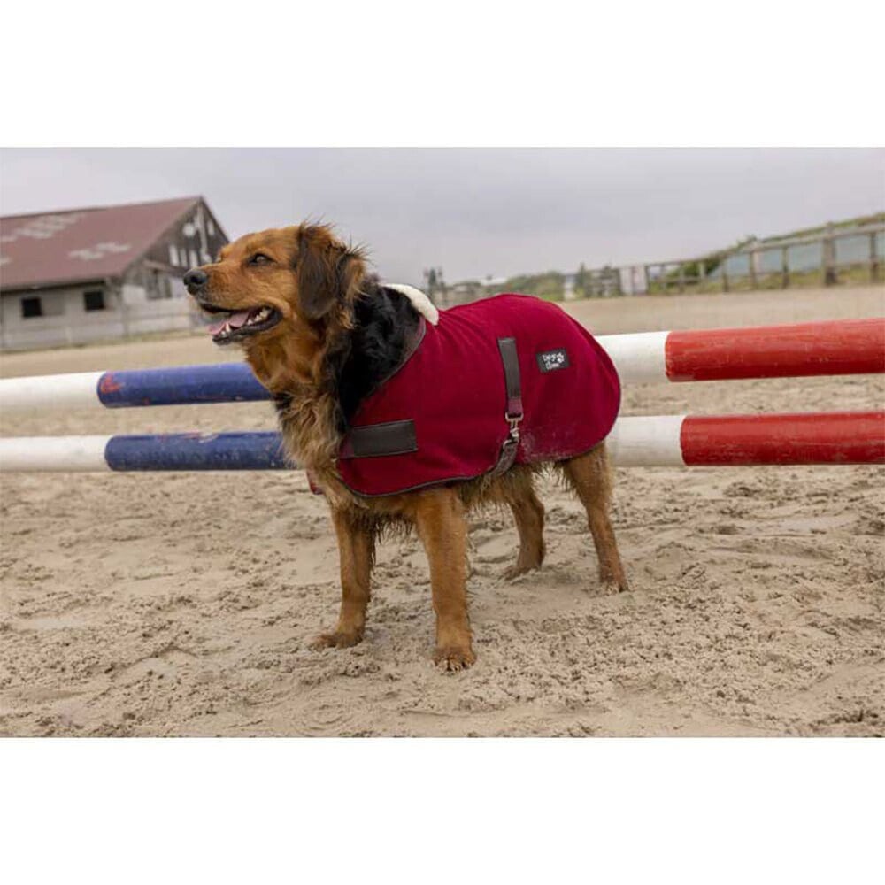 DIEGO & LOUNA Teddy Nylon Dog Jacket