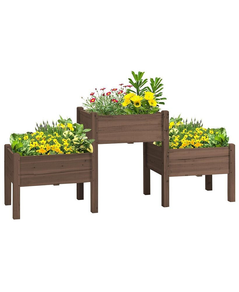 Outsunny raised Garden Bed with 3 Planter Box, Freestanding Wooden Plant Stand with Drainage Holes, for Vegetables, Herb and Flowers, Coffee