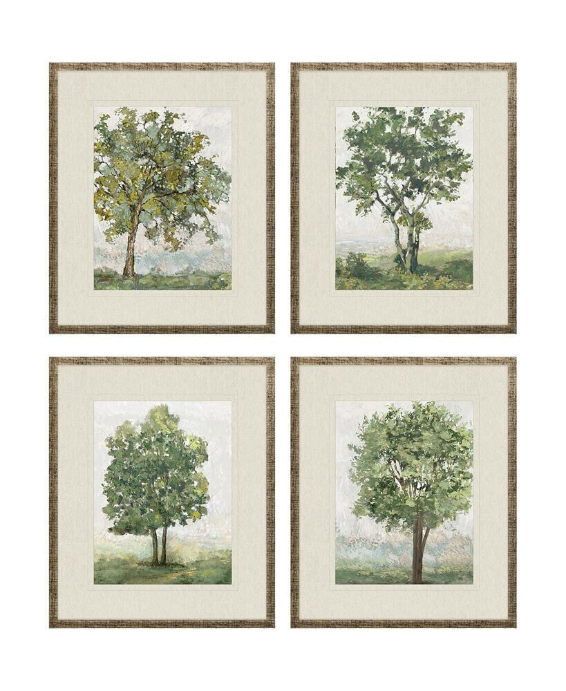 Paragon Picture Gallery countryside Growth Framed Art, Set of 4