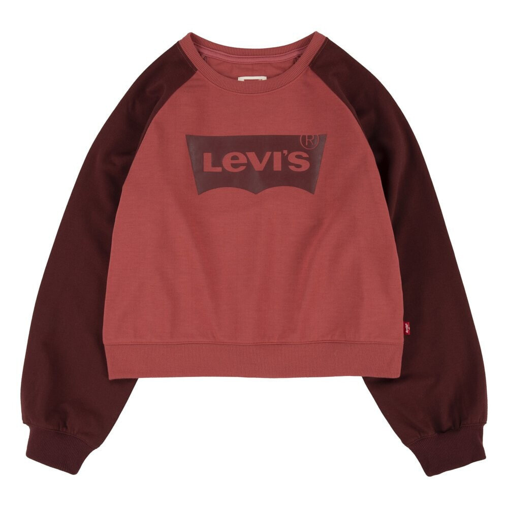 LEVI´S ® KIDS Raglan Batwing Crew Sweatshirt