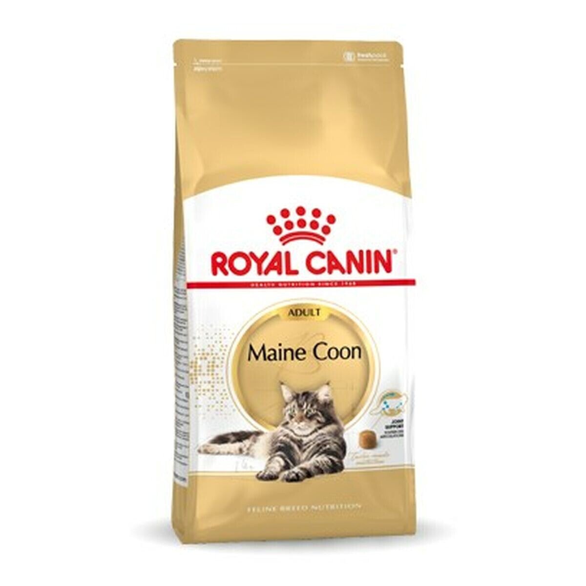 Cat food Royal Canin Maine Coon Adult + 1 year Adult Birds 10 kg
