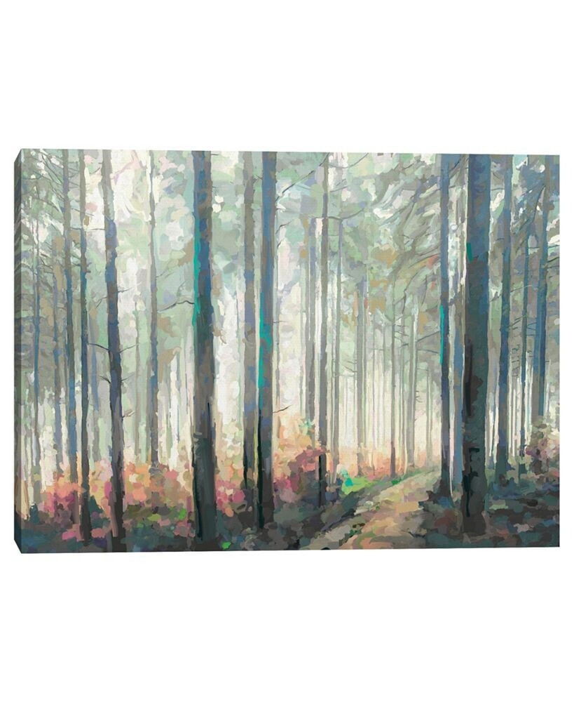 Fine Art Canvas woodland Journey by Studio Arts Canvas Art Print