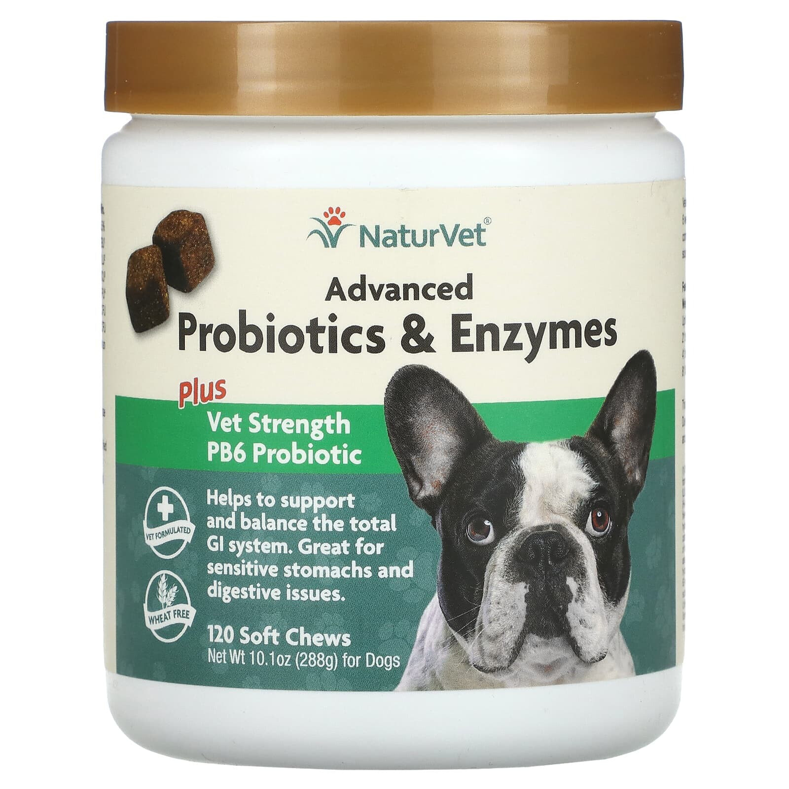 Advanced Probiotics & Enzymes, Plus Vet Strength PB6 Probiotic, For Dogs, 120 Soft Chews, 10.1 oz (288 g)