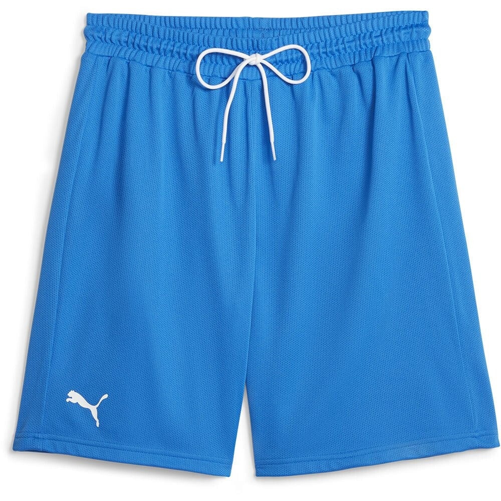 PUMA Hoops Team Practice shorts