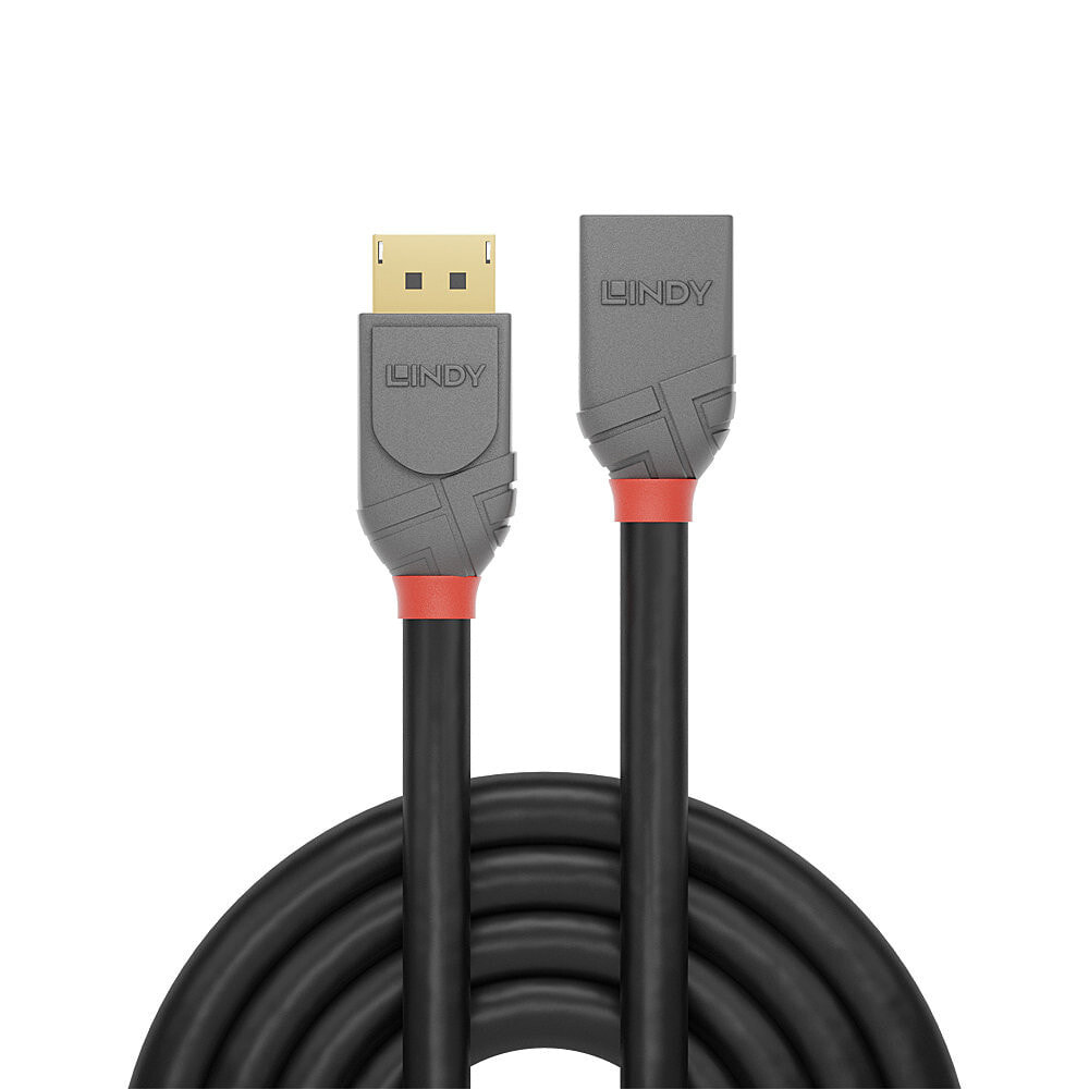 Lindy 36495 DisplayPort кабель 0,5 m Черный