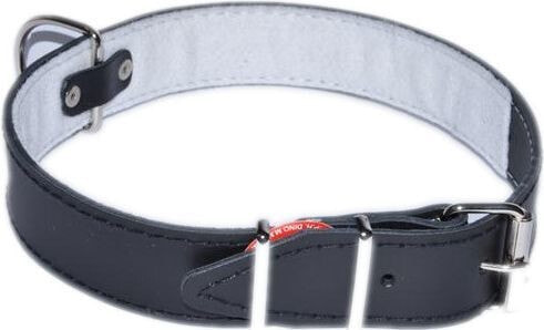 Dino Leather collar Dino 40mm / 67cm Black