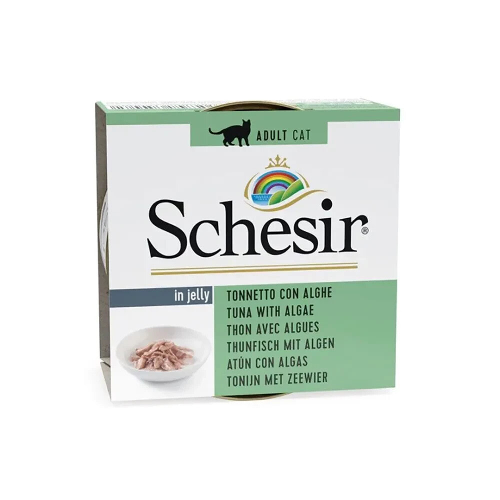 SCHESIR In jelly tuna with algae wet cat food 85g