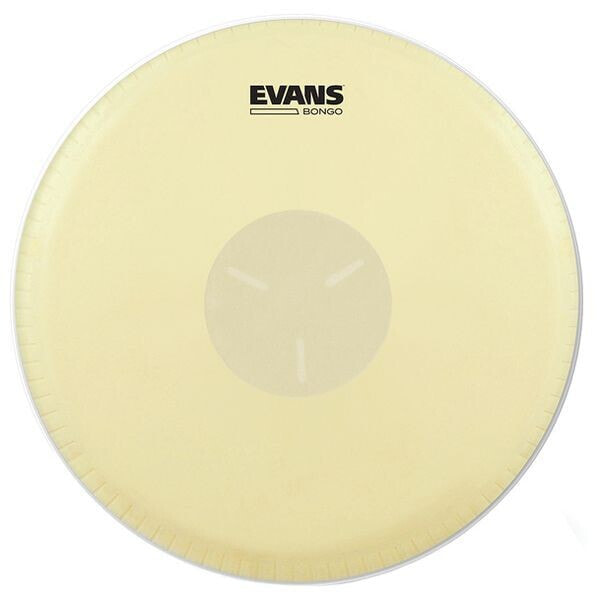 Evans EB07 7 1/4