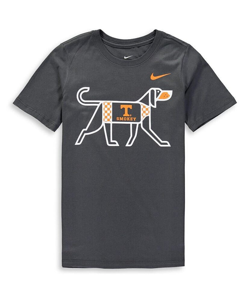 Nike big Boys Anthracite Tennessee Volunteers Local T-shirt