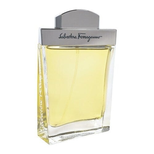 Salvatore Ferragamo Homme Eau de Toilette