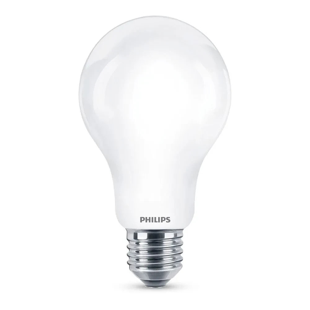 PHILIPS E27 17.5W 2452lumen 6500Lumen Cold Light Standard LED Bulb