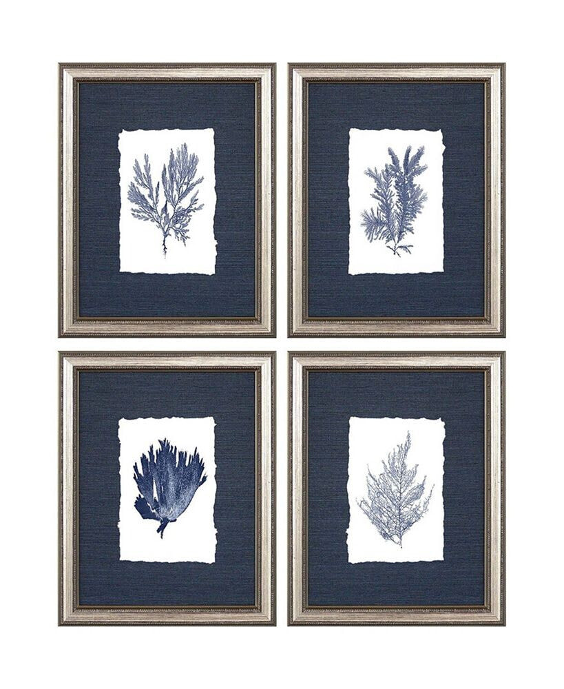 Paragon Picture Gallery paragon Coral Framed Wall Art Set of 4, 14