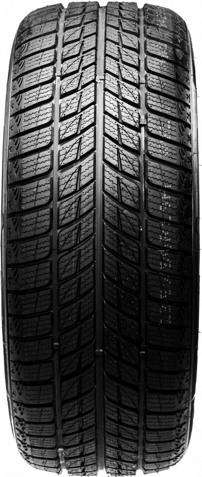 Шины зимние Horizon HW 505 255/55 R19 107H